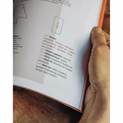 THE FEMALE EXPLORER #1 - Reisebericht^ Frauen Auf Reisen