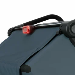 Thule CHARIOT CAB - Fahrradanhänger^Kinder Kinder Fahrradanhänger