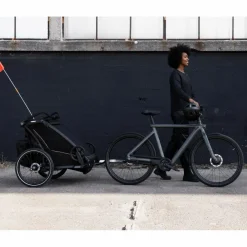 Thule CHARIOT SPORT DOUBLE NATURAL GOLD - Fahrradanhänger^Kinder Kinder Fahrradanhänger