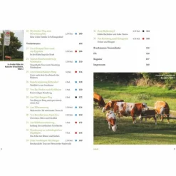 VERGESSENE PFADE TAUNUS - Wanderführer^ Wanderführer