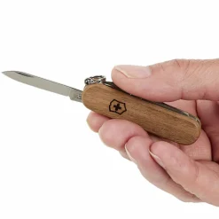 Victorinox CLASSIC SD WOOD BLISTER - Schweizer Taschenmesser^ Schweizer Messer