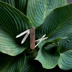 Victorinox CLASSIC SD WOOD BLISTER - Schweizer Taschenmesser^ Schweizer Messer