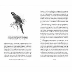 Outdoor-Sachbücher Und Naturwissen*VON SCHRUMPFENDEN TINTENFISCHEN UND WINDFESTEN EIDECHSEN - Sachbuch