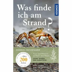 Tiere, Pflanzen Und Garten*WAS FINDE ICH AM STRAND? - Ratgeber