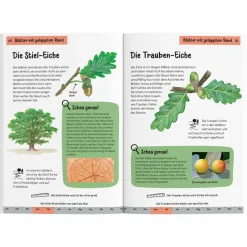 WELCHER BAUM IST DAS? KINDERNATURFÜHRER - Kinderbuch^Kinder Naturratgeber Und Sachbücher|Kinderbücher Und Jugendbücher