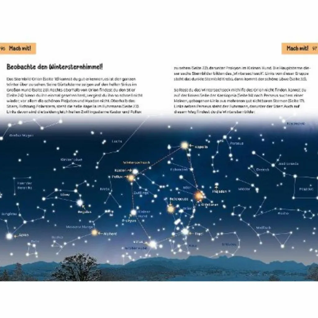 WELCHER STERN IST DAS? KINDERNATURFÜHRER - Kinderbuch^Kinder Naturratgeber Und Sachbücher|Kinderbücher Und Jugendbücher