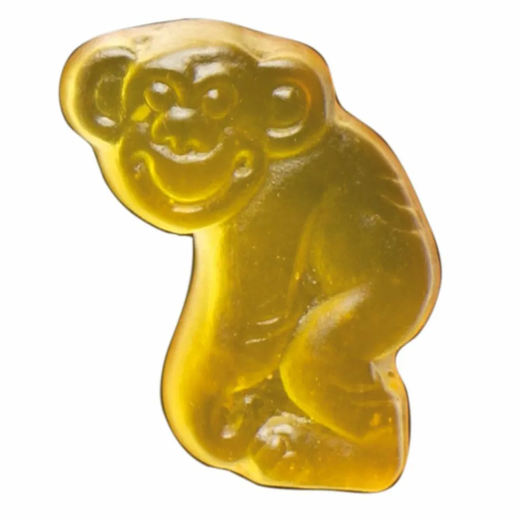 WELTPARTNER Verpflegung*BIO MANGO MONKEYS 100G