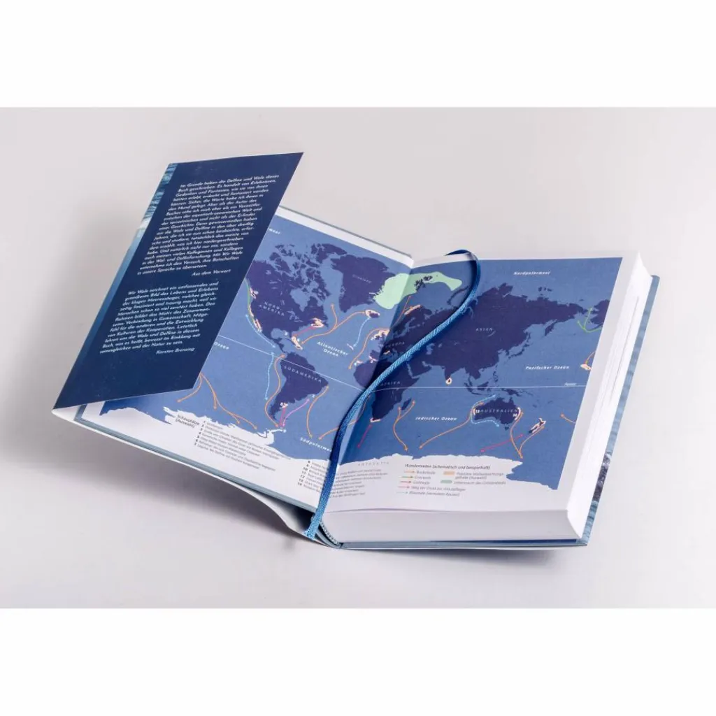 Tiere, Pflanzen Und Garten*WIR WALE - Sachbuch