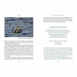 Tiere, Pflanzen Und Garten*WIR WALE - Sachbuch