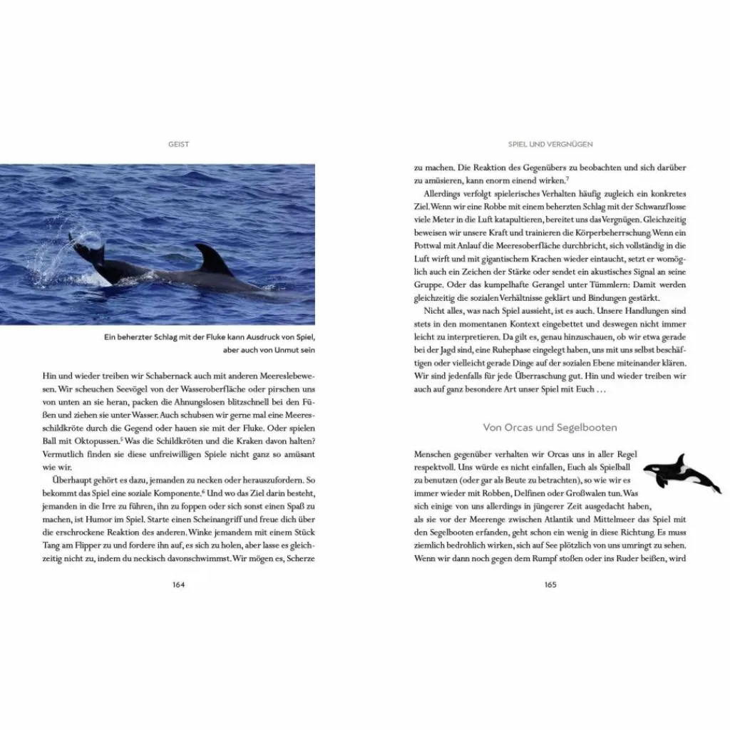 Tiere, Pflanzen Und Garten*WIR WALE - Sachbuch