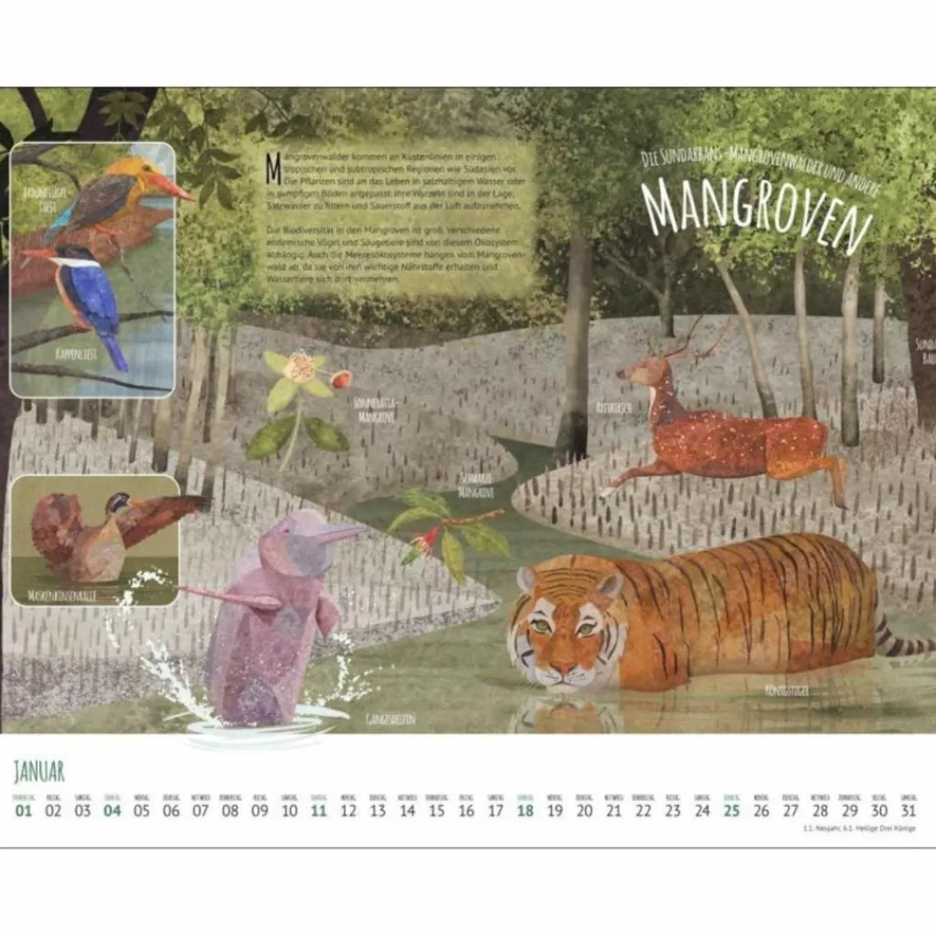 WO TIERE UND PFLANZEN ZU HAUSE SIND 2026 - Kalender^ Kalender