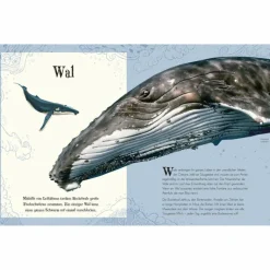 WUNDERVOLLE WELT DER TIERE - Kinderbuch^Kinder Naturratgeber Und Sachbücher|Kinderbücher Und Jugendbücher