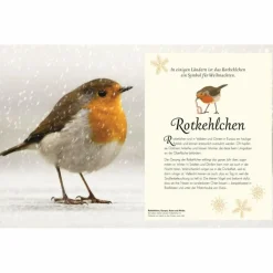 Kinder Naturratgeber Und Sachbücher|Kinderbücher Und Jugendbücher*WUNDERVOLLE WELT DER VÖGEL - Sachbuch