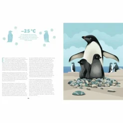 ZU HAUSE BEI DEN WILDEN TIEREN - Kinderbuch^Kinder Naturratgeber Und Sachbücher|Kinderbücher Und Jugendbücher