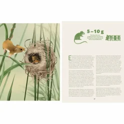 ZU HAUSE BEI DEN WILDEN TIEREN - Kinderbuch^Kinder Naturratgeber Und Sachbücher|Kinderbücher Und Jugendbücher